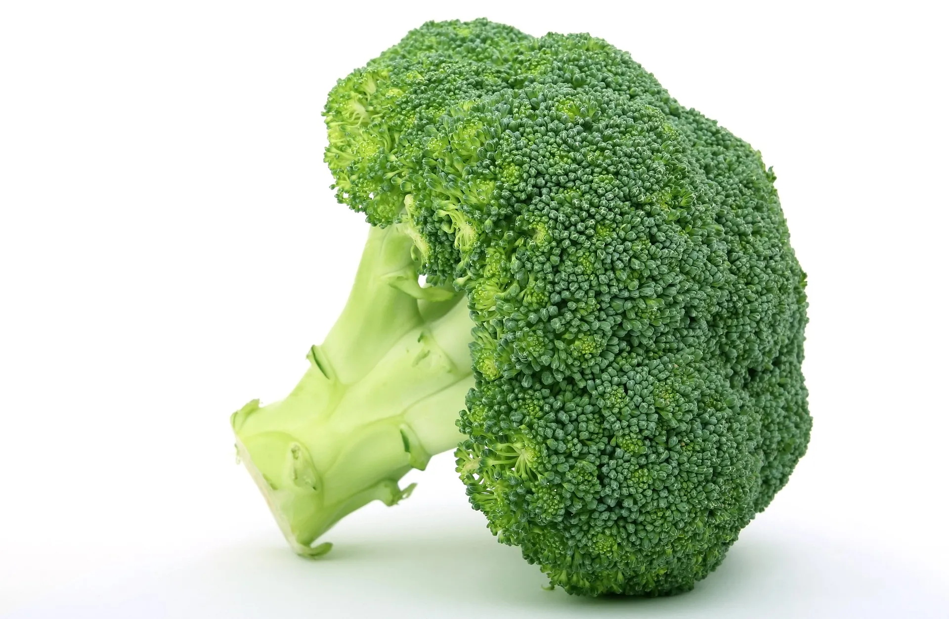I broccoli si possono congelare? Attenzione, ecco la risposta! 