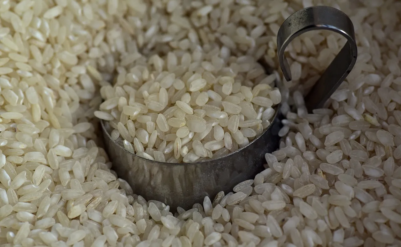 Il riso crudo si può congelare? Ecco la risposta