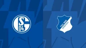 Schalke Hoffenheim