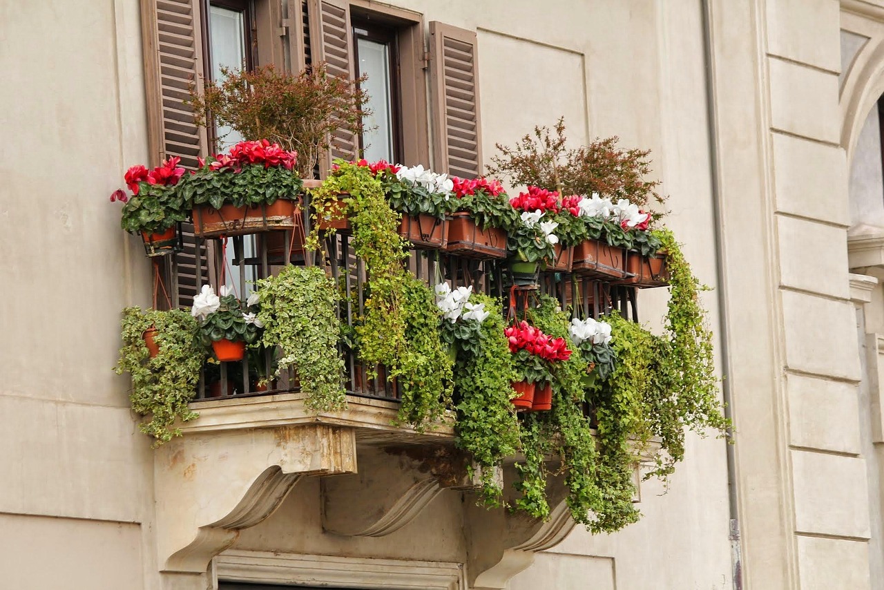 Piante da balcone fiorite, ideali per chi cerca bassa manutenzione.
