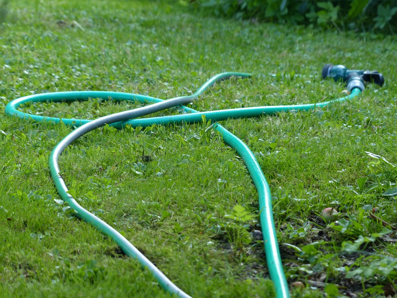 Immagine di un sistema di irrigazione automatica mal posizionato in un giardino fiorito.