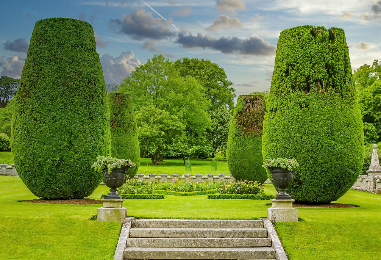 Disposizione errata di spazi verdi in giardino con piante sovrapposte e disordinate.