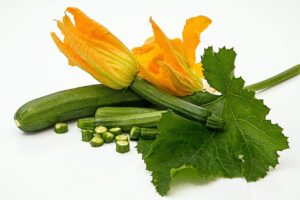 Zucchine cresciute in vaso, illustrate con foglie verdi e fiori gialli, simbolo di un metodo efficace di coltivazione.