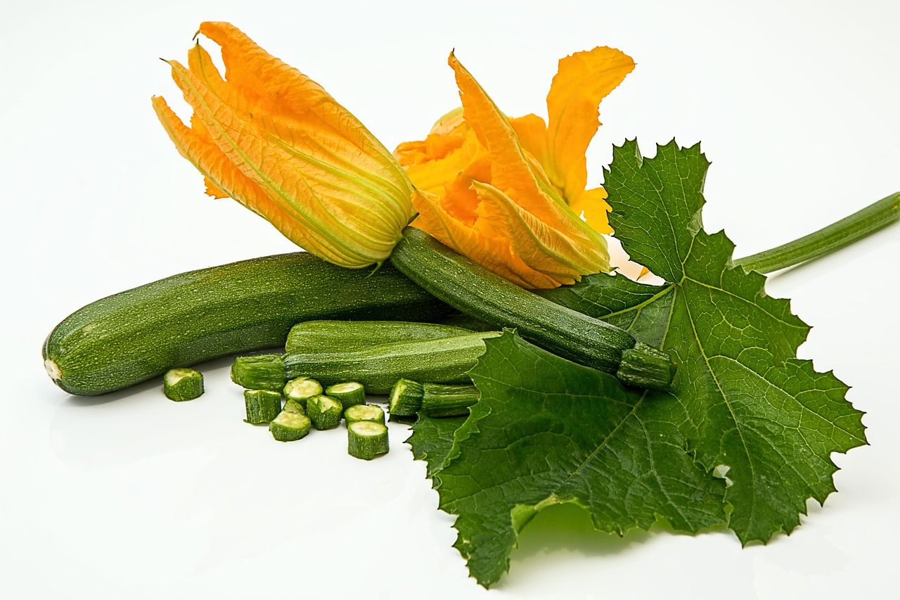 Zucchine cresciute in vaso, illustrate con foglie verdi e fiori gialli, simbolo di un metodo efficace di coltivazione.