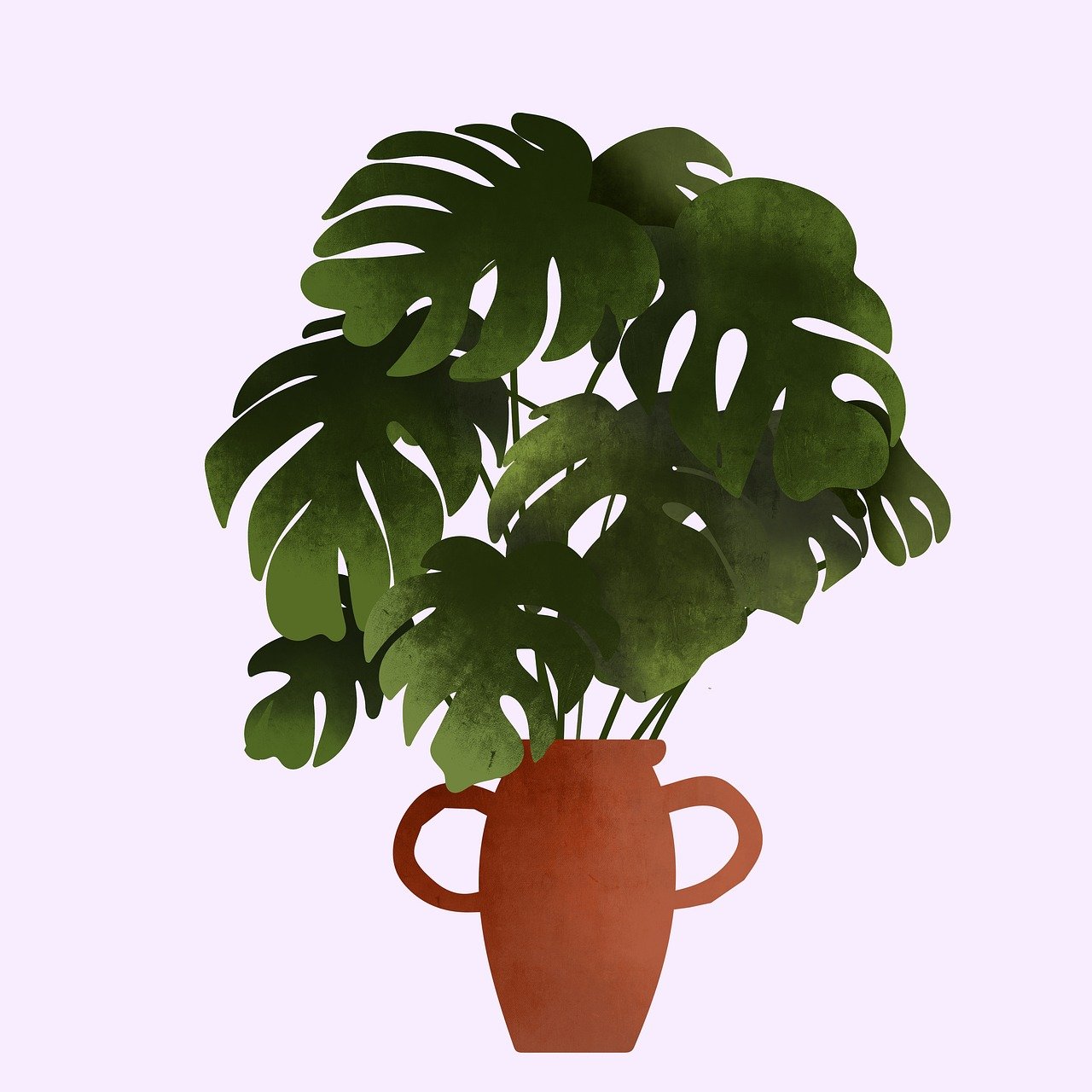 Pianta d'appartamento verde, simbolo di fortuna secondo il Feng Shui, posizionata in un angolo luminoso.