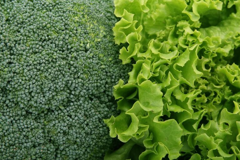 Spinaci e broccoli ogni giorno: cosa succede davvero al tuo colesterolo
