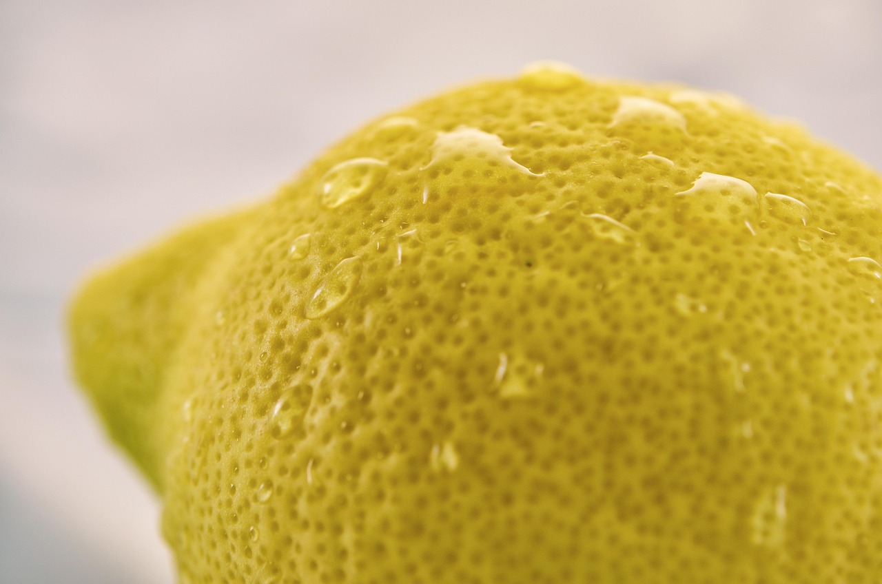 Cocciniglie cotonose su foglie di limone, ricetta con alcol e sapone per la loro eliminazione.
